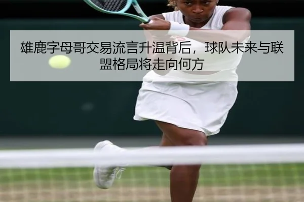 雄鹿字母哥交易流言升温背后，球队未来与联盟格局将走向何方